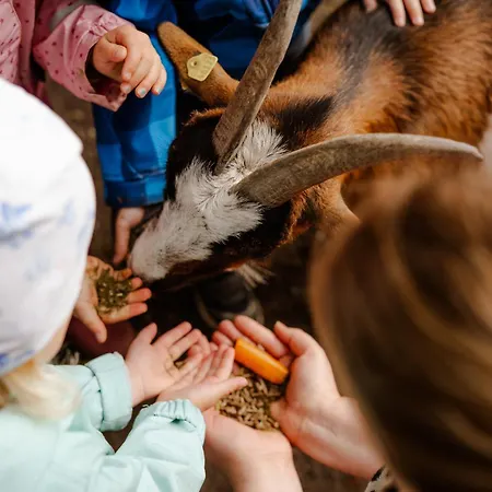 Tante Schmidt 1 公寓