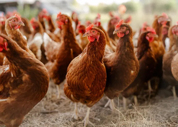 Apartamento Tante Schmidt 1 Staberdorf