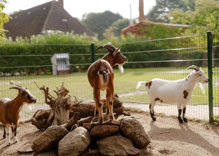 Tante Schmidt 1 * Staberdorf