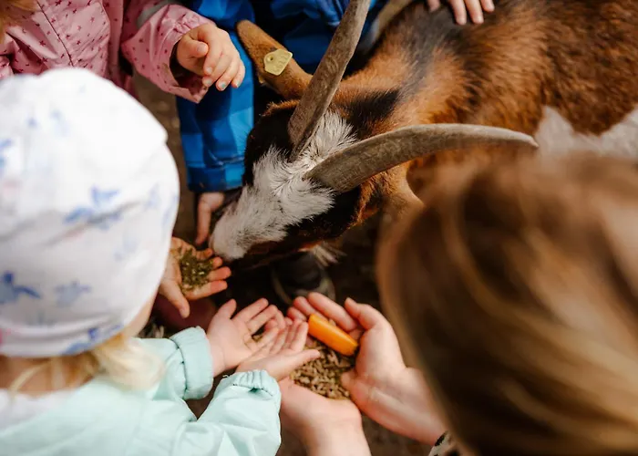Tante Schmidt 1 Apartamento