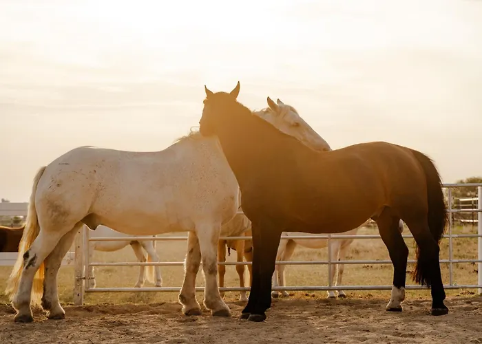Tante Schmidt 1 Staberdorf