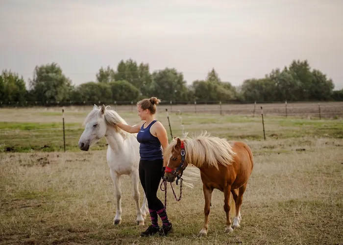 Apartamento Tante Schmidt 1 *