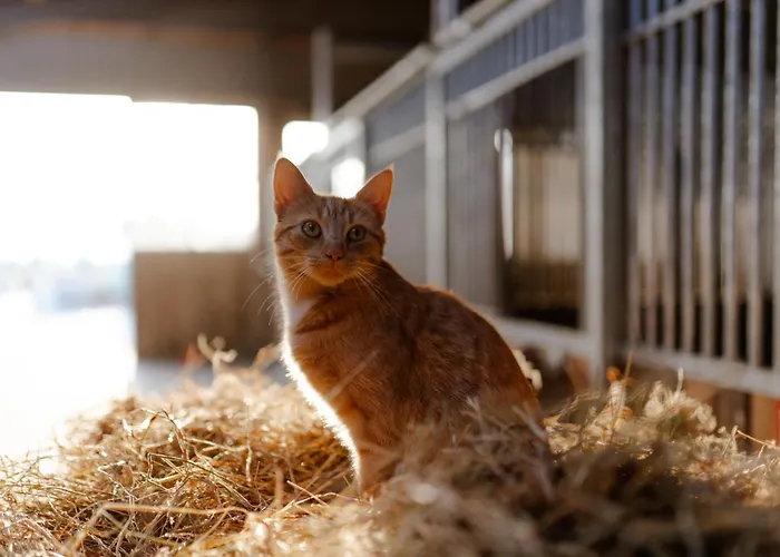 Tante Schmidt 1 Apartamento Staberdorf